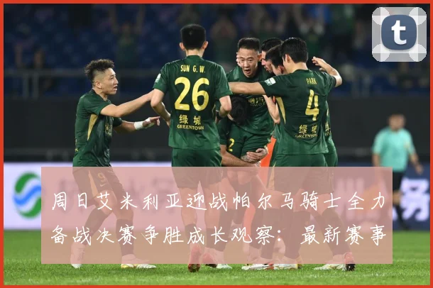 周日艾米利亚迎战帕尔马骑士全力备战决赛争胜成长观察：最新赛事动态与深度分析